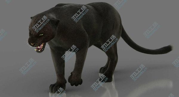 images/goods_img/20210312/3D Black Panther 3 (FUR) (RIGGED)/4.jpg